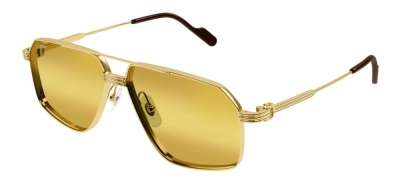 Cartier CT0270S 013