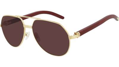 Cartier CT0272S – 004 POLARIZED