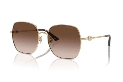 Jimmy Choo JC4008HD 300613