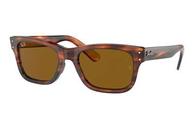 Ray-Ban Mr burbank RB2283 954/33