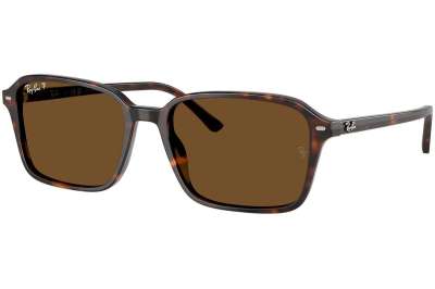 Ray-Ban Raimond RB2231 902/57 POLARIZED