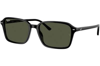 Ray-Ban Raimond RB2231 901/31