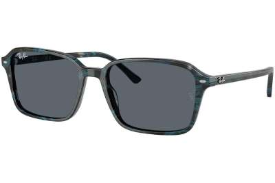 Ray-Ban Raimond RB2231 1417R5