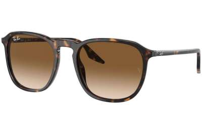 Ray-Ban RB2203 902/51