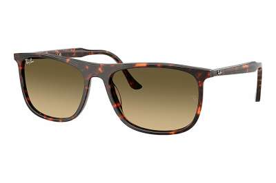 Ray-Ban RB2216 14290A