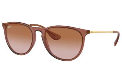 Ray-Ban RB4171 Erika 659013