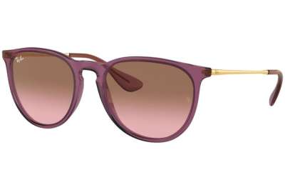 Ray-Ban RB4171 Erika 659114