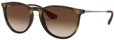 Ray-Ban RB4171 Erika 865/13