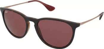 Ray-Ban RB4171 Erika 639175