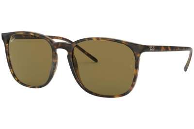 Ray-Ban RB4387 710/73