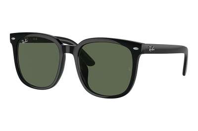 Ray-Ban RB4401D 601/71