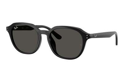 Ray-Ban RB4459D 901/87