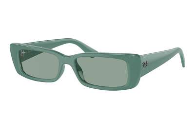 Ray-Ban Teru RB4425 676282