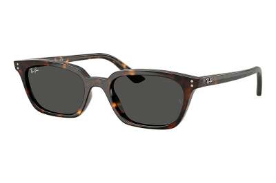 Ray-Ban Zaya RB4456 135987